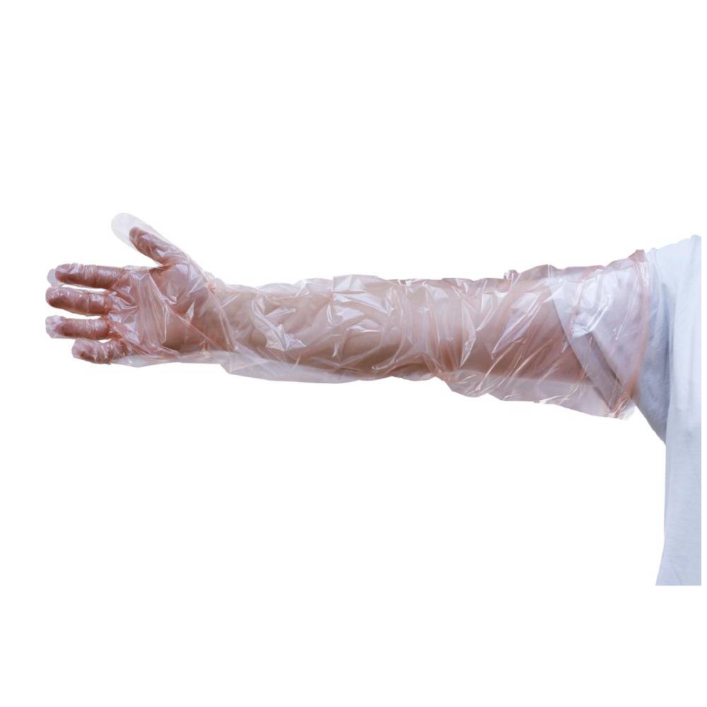 Handschuhe zur künstlichen Befruchtung, 100er-Box